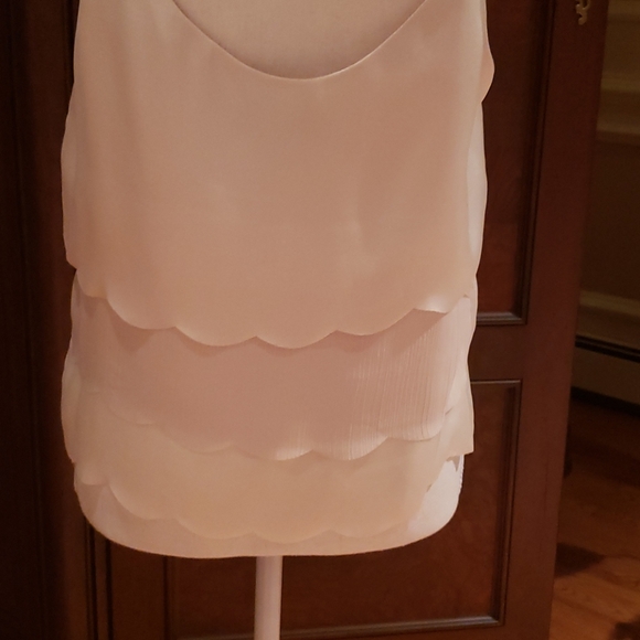 Ark & Co - Picture 2 of 3